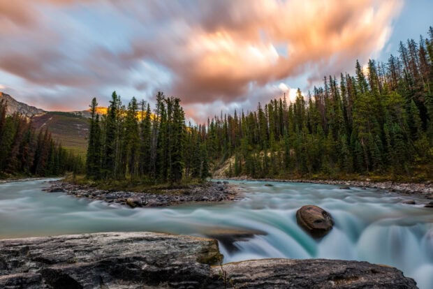 Flowing river through lush green forest in Jasper National Park at sunset