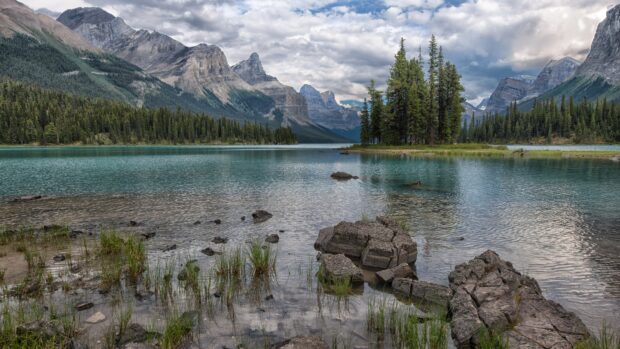 Rocky lake shore and pine trees in Jasper National Park mountains