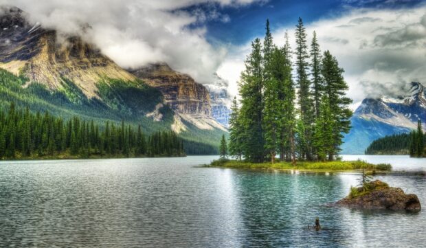 A scenic view of Jasper National Park with pine trees and mountain cliffs under clouds