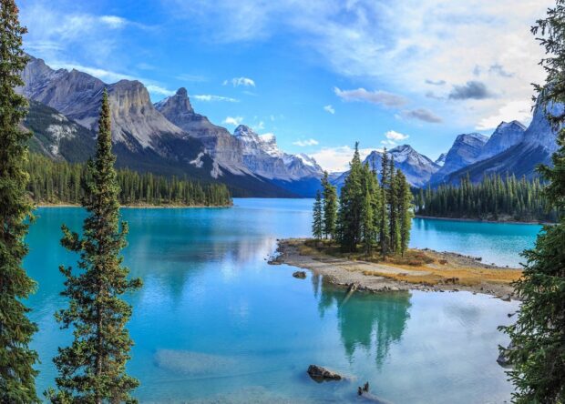 A tranquil lake and forest landscape in Jasper National Park surrounded by majestic mountains