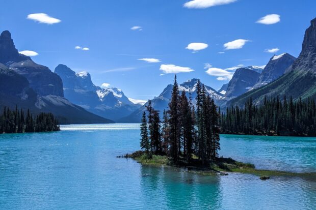 Pine trees on a small island in a turquoise lake surrounded by mountain peaks in Jasper National Park