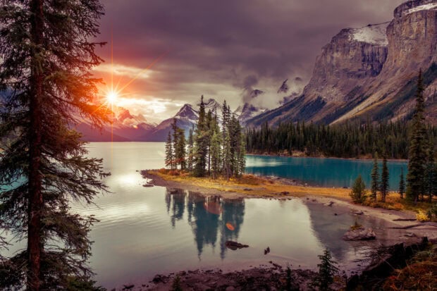 Pine trees on a small island in Jasper National Park during sunset