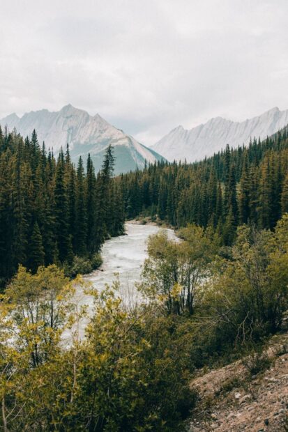 A serene river flowing through lush forests in Jasper National Park with mountain peaks in the background