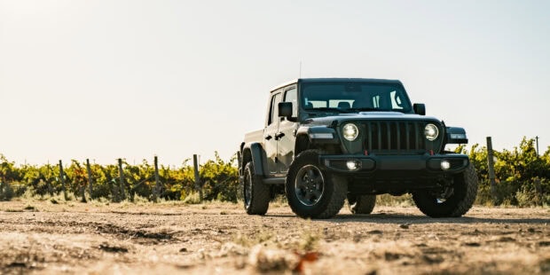 Jeep Gladiator parked on dirt road near vineyard under clear sky