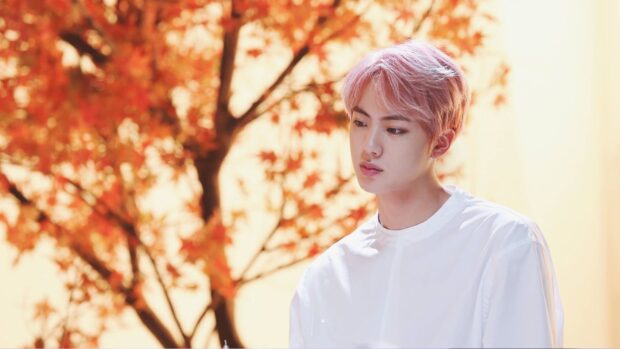 Jin BTS wallpapers shows a serene moment with autumn leaves in the background, HD Desktop Wallpaper