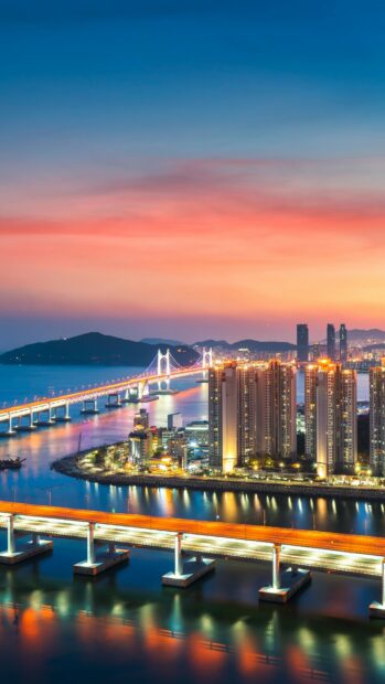 Evening view of Korea cityscape with illuminated bridges and buildings at sunset
