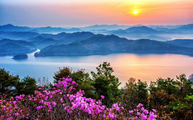 Beautiful Korea mountain scenery with blooming flowers at sunset