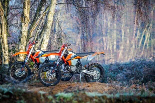 Two orange KTM dirt bikes parked on dirt ground near birch trees in a forest setting