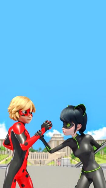 Ladybug and Cat Noir are shown in a dynamic pose with Ladybug And Cat Noir in the city background