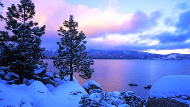 Snow covered trees by the Lake Tahoe Emerald Bay during sunset, HD Desktop Wallpaper