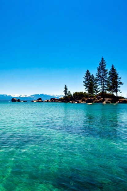 A clear view of Lake Tahoe Emerald Bay with blue water and pine trees, HD Mobile Wallpaper