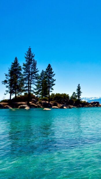 A beautiful view of Lake Tahoe Emerald Bay with clear water and pine trees, HD iPhone Wallpaper