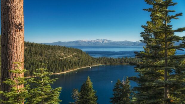 A scenic view of Lake Tahoe Emerald Bay surrounded by pine trees and mountains, HD Desktop Wallpaper