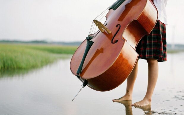 A person stands barefoot in shallow water holding a double bass near a grassy field, HD Desktop Wallpaper