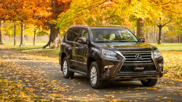 A Lexus GX is parked on a leaf covered path surrounded by colorful autumn trees, 4K Desktop Wallpaper