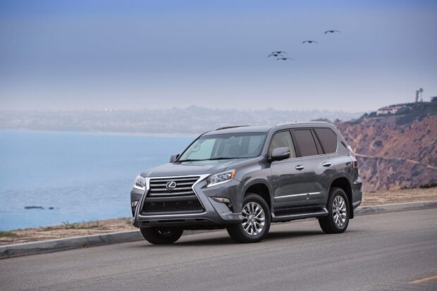 A Lexus GX is parked near a coastal cliff with birds flying in the sky, HD Desktop Wallpaper