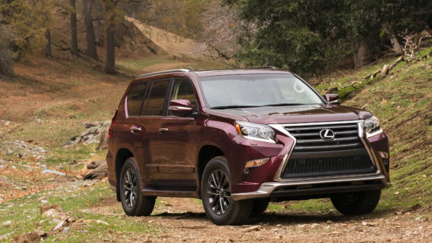 A Lexus Gx SUV parked on a dirt path surrounded by trees and greenery, 4K Desktop Wallpaper