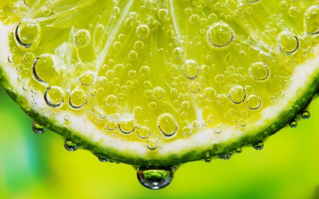 Close up view of lime with bubbles forming on its surface