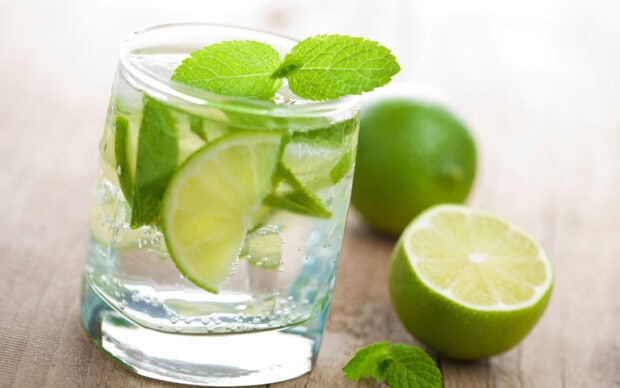 Fresh lime slices and mint leaves in a refreshing glass of sparkling water