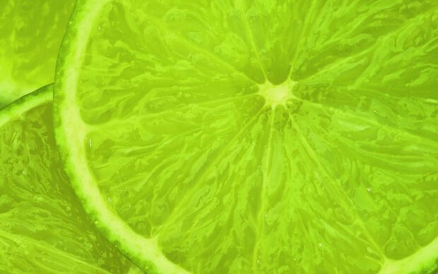 Close up of fresh lime slices showing juicy texture