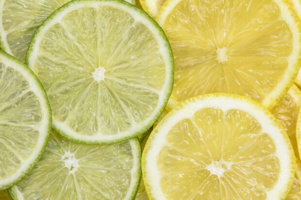 Close up of fresh lime slices showing natural texture and juicy details