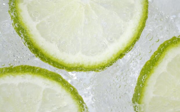 Close up of lime slices in sparkling water with bubbles surrounding them