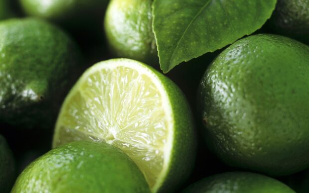 Fresh lime surrounded by green leaves and whole limes