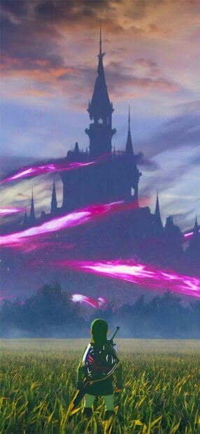 A hero stands in a field facing the mysterious castle with swirling purple energy, HD Phone Wallpaper