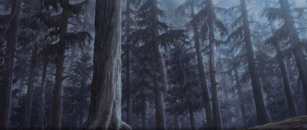 Dark lofi forest with tall trees and mist creating a moody atmosphere