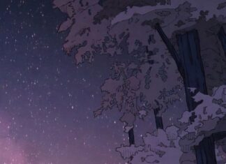 A person sitting near a warm campfire in the forest under a starry night sky