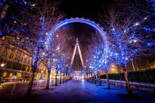 The London Eye is surrounded by glowing blue lights on trees at night, HD Desktop Wallpaper