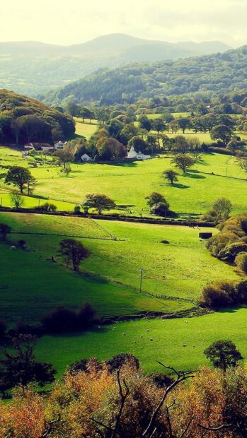 A peaceful view of lush green hills with trees and farms in Ethiopia landscapes, HD Phone Wallpaper