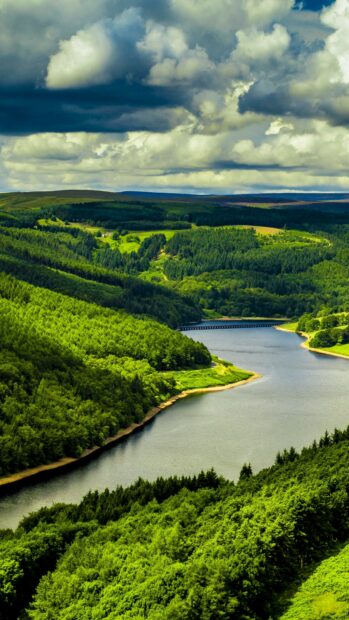 A scenic view of a lush green forest with a winding river under cloudy skies in the United Kingdom, 4K Phone Wallpaper