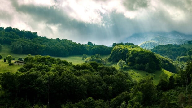 The green hills feature dense trees and rolling fields under cloudy skies, 4K Desktop Wallpaper