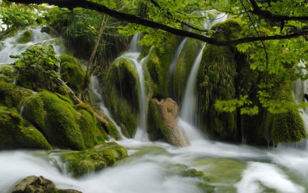 This scenery wallpapers captures a tranquil natural waterfall surrounded by vibrant greenery, HD Desktop Wallpaper