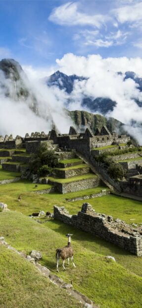 Ancient Machu Picchu ruins surrounded by green terraced hills and llamas under a cloudy sky