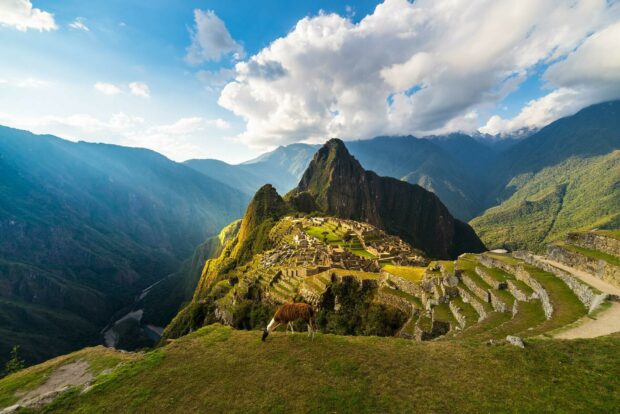 Ancient Machu Picchu ruins surrounded by mountains and a grazing llama