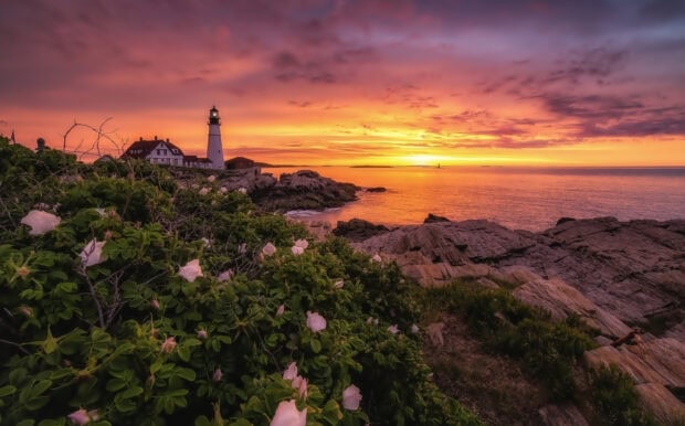 The Maine lighthouse stands against a vibrant sunset sky over rocky shores and blooming bushes, HD Desktop Wallpaper