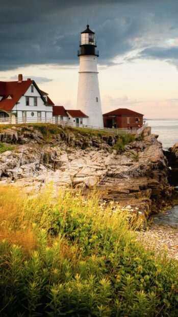 A Maine lighthouse stands tall on a rocky coast surrounded by greenery and ocean, HD Phone Wallpaper