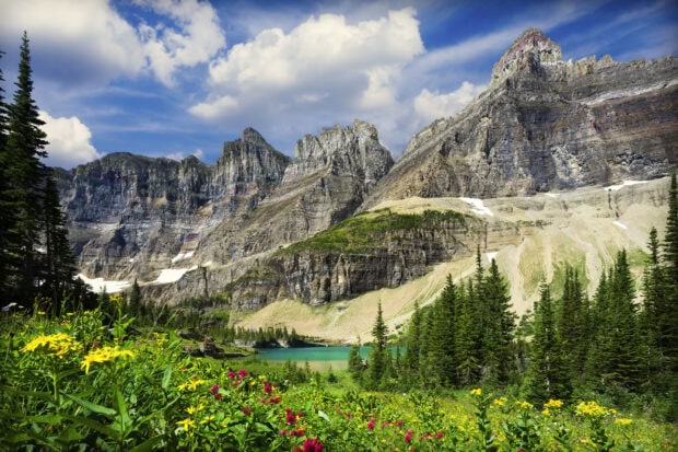 Majestic mountains and colorful wildflowers in Glacier National Park view, 2K Desktop Wallpaper