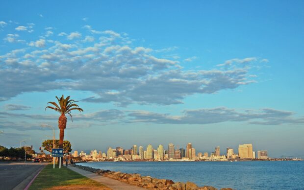 A scenic view of a coastal road with palm trees and a city skyline under a partly cloudy sky in Malibu California