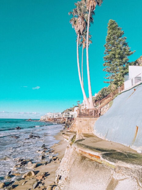 Tall palm trees and coastal houses overlooking the rocky Malibu California coastline on a clear sunny day