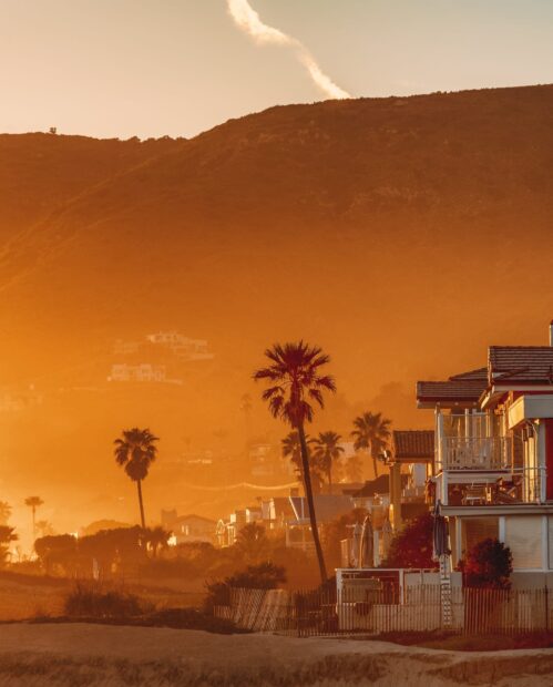 Malibu California landscape with palm trees and houses at sunset in warm light