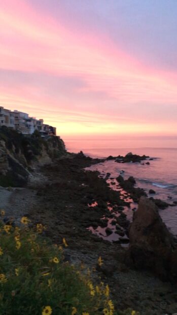 Rocky Malibu California coastline with yellow flowers at sunset