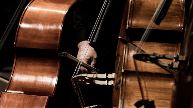 A skilled musician plays a double bass with a bow in low light, HD Desktop Wallpaper