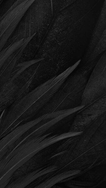 Close up of matte black feathers showing detailed texture, HD Phone Wallpaper