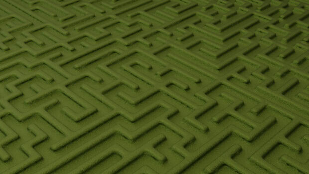 A detailed green maze covering a large area with intricate pathways