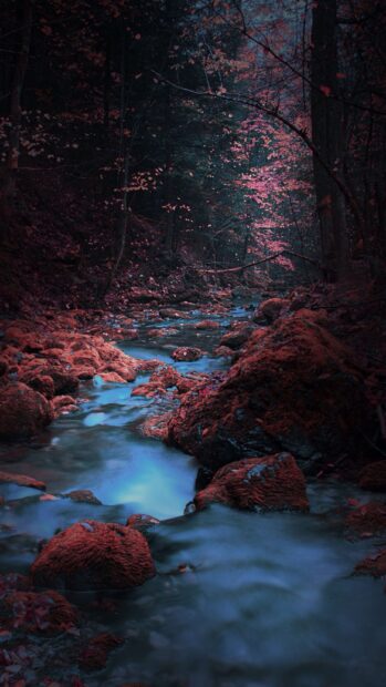 A misty forest stream flows through colorful rocks surrounded by vibrant foliage in scenery wallpapers, 2K Phone Wallpaper