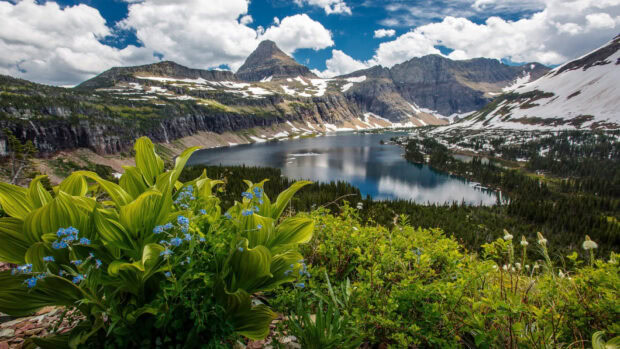 A scenic view of a mountain lake surrounded by greenery and rocky peaks in Montana, HD Desktop Wallpaper