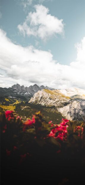Bright flowers foreground with Montana mountain range under cloudy sky, HD Phone Wallpaper
